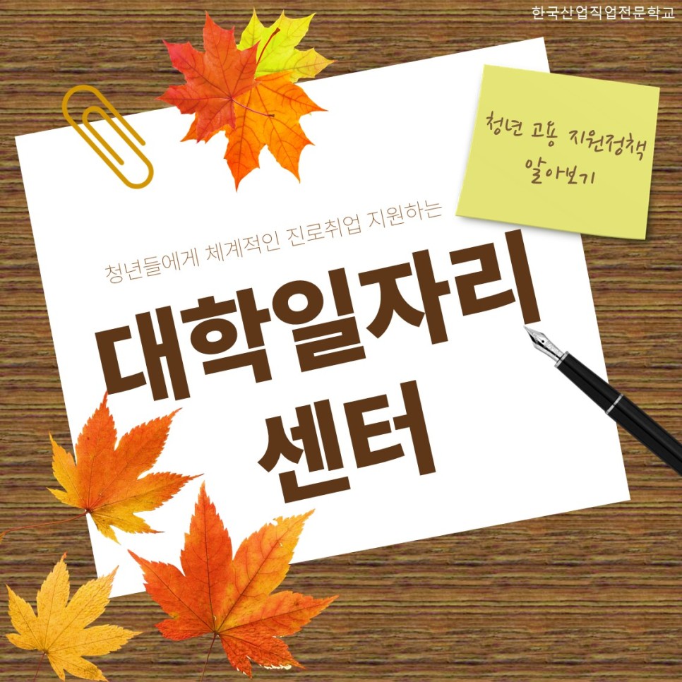 청년고용지원정책알아보기-대학일자리센터