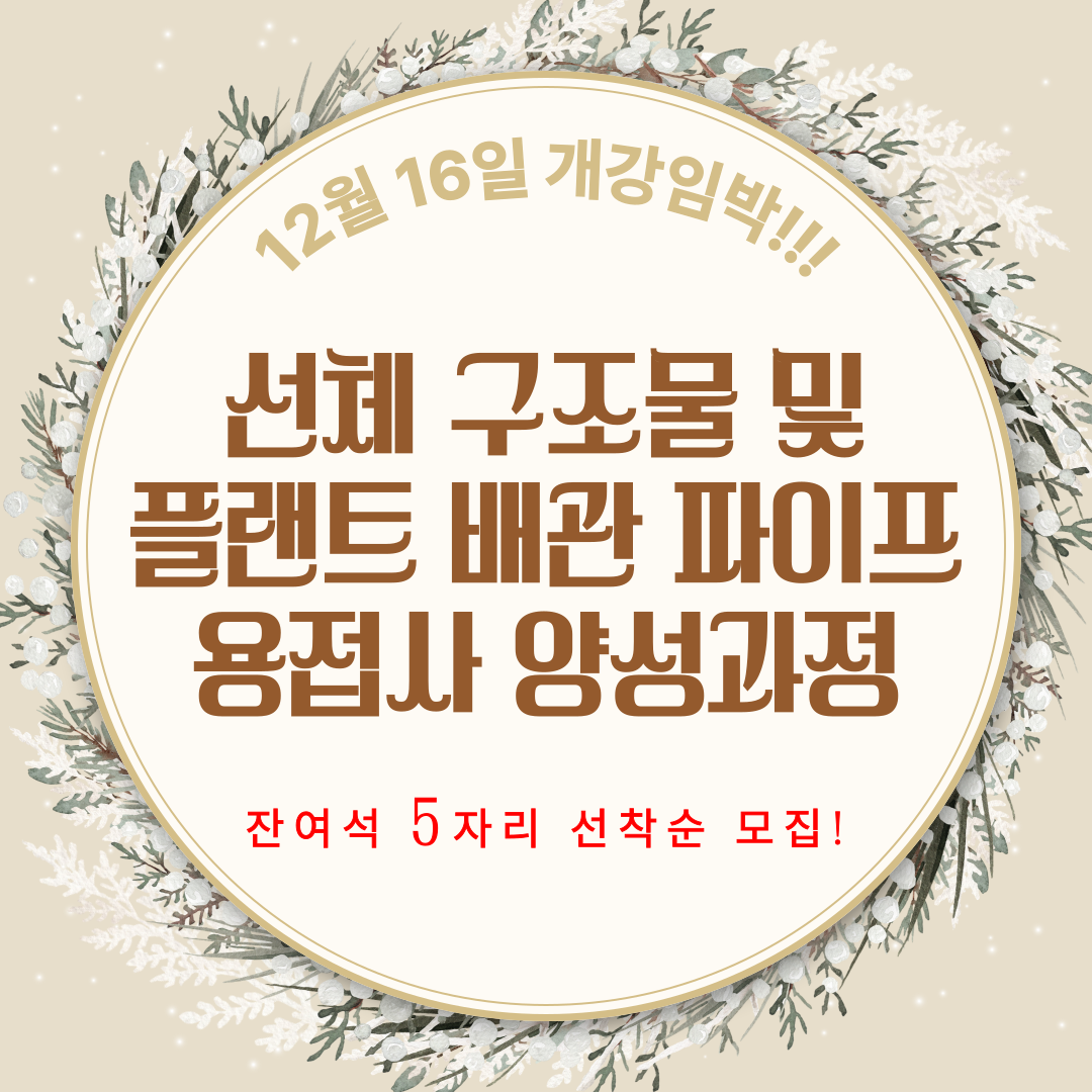 [부산 용접학원/기업맞춤형/국비지원] 배추 모종 200주, 더위에 메마르고 벌레에 초토화